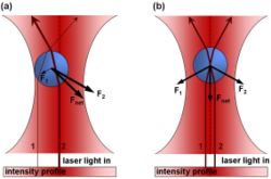 Archivo:Optical Trap Ray Optics Explanation.jpg