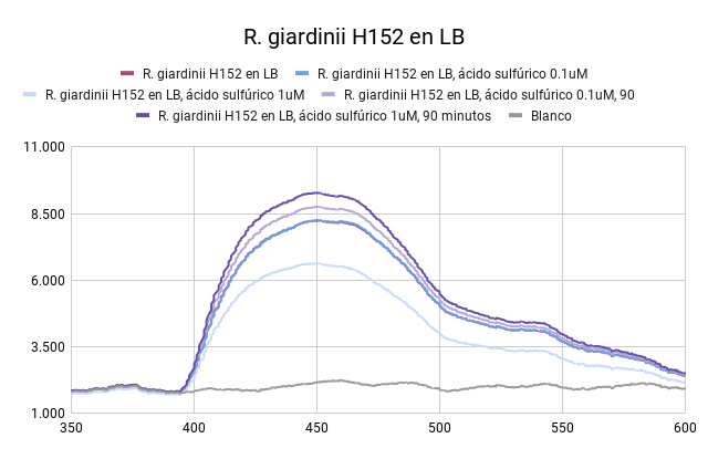 Archivo:R. giardinii H152 en LB.png