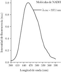 Espectro de fluorescencia del NADH puro