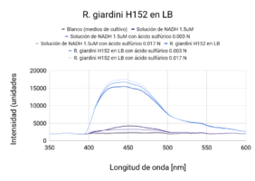 R. giardinii H152 en LB (Primera medición)